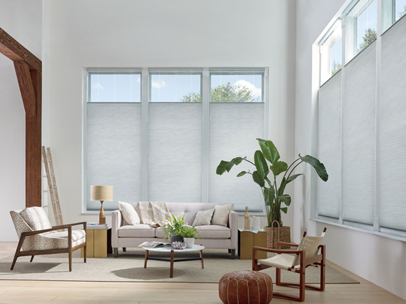 Shades In Living Room in Dallas, TX